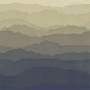 SDG-FLAT-SWATCH