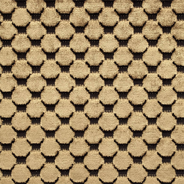 Tespi Spot Carbon/Old Gold | Zoffany