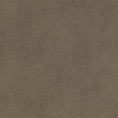 Nassau - Driftwood Vegan Leather | Phillipe Romano
