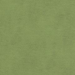 Nassau - Avocado Vegan Leather | Phillipe Romano
