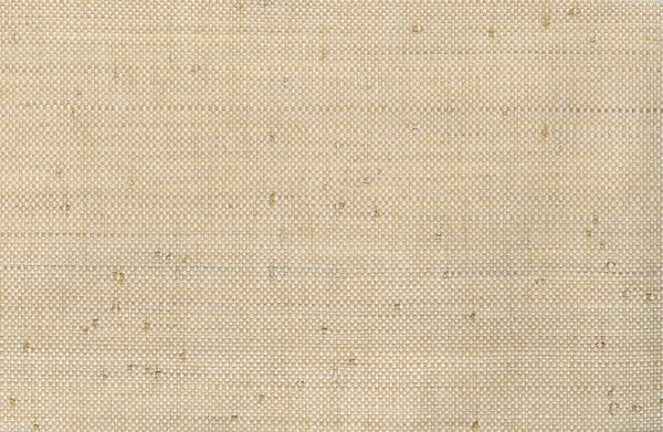 Sea Bright-Plain Paper Weave,raffia Paper Weave Wallcovering | Phillipe Romano