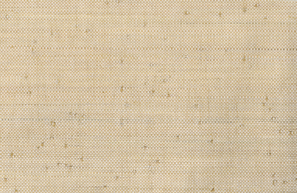 Sea Bright-Plain Paper Weave,raffia Paper Weave Wallcovering | Phillipe Romano — PWV-500960