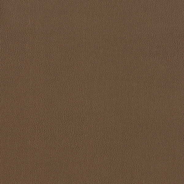 Carnegie Siltech Grain - Color 25