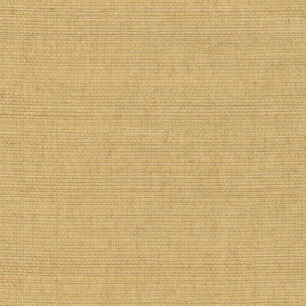 Alana Abaca Tight Woven Grass | Phillipe Romano