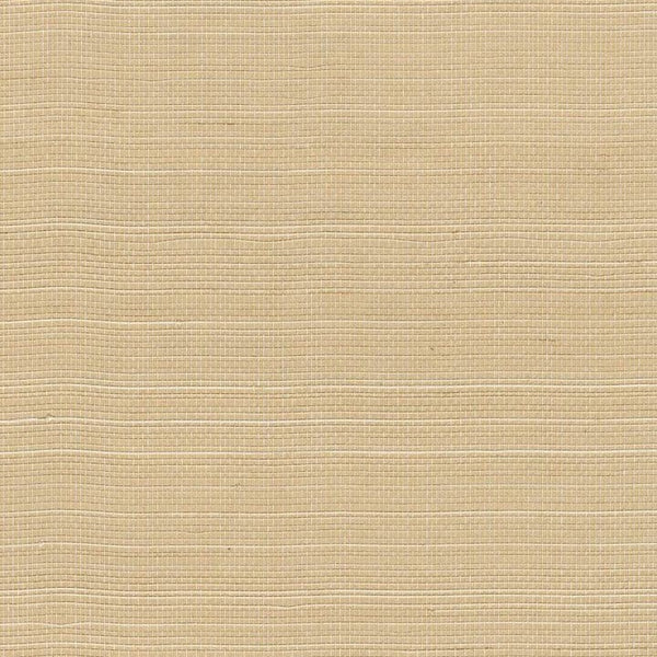 Alana Abaca Tight Woven Grass | Phillipe Romano
