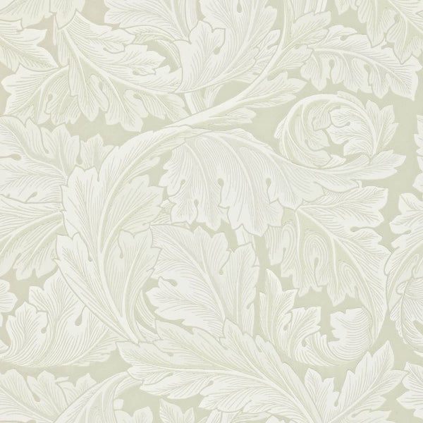 Acanthus Chalk Wallcovering | William Morris