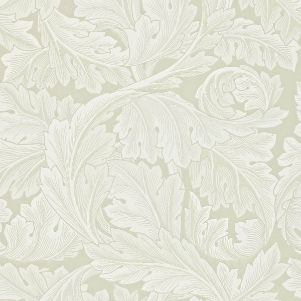 Acanthus Chalk | Morris & Co.