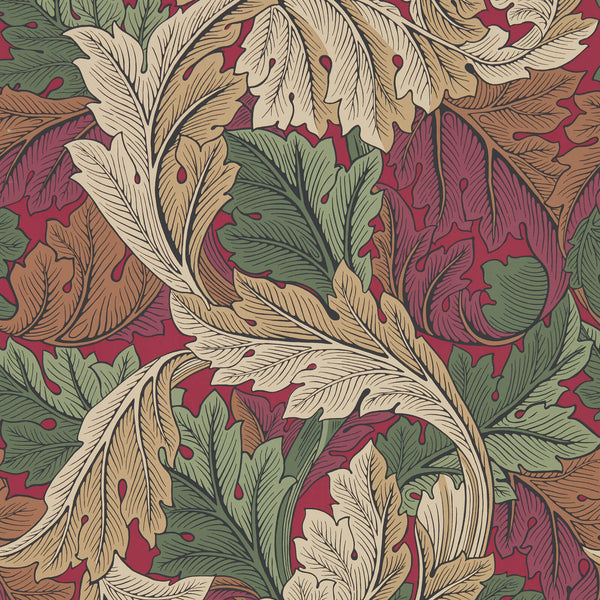 Acanthus Madder/Thyme | Morris & Co.