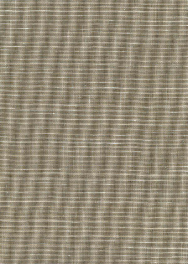 Truro-Sage Sage Abaca Wallcovering | Phillipe Romano