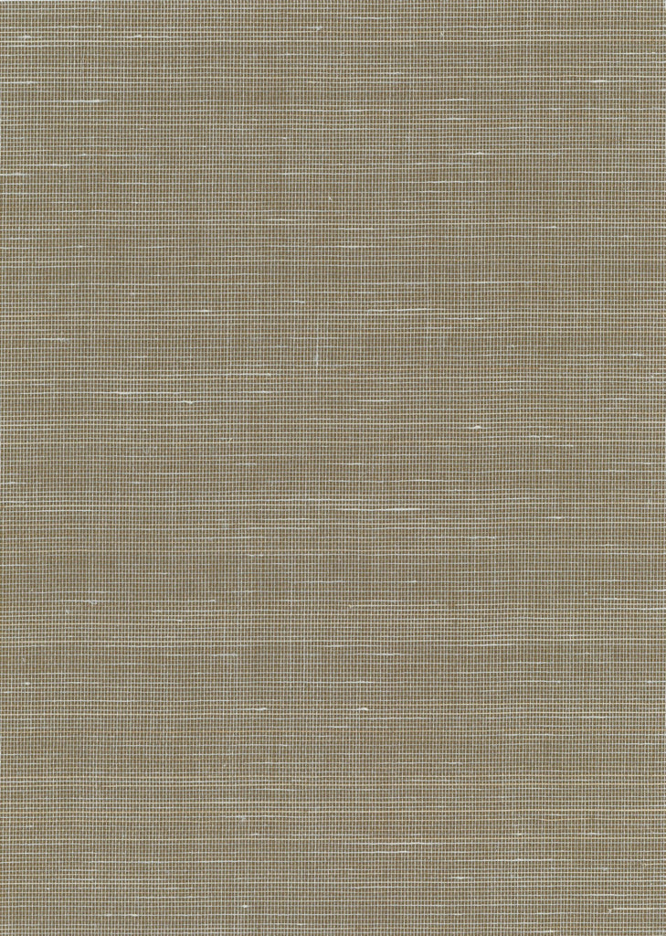 Truro-Sage Sage Abaca Wallcovering | Phillipe Romano — ABAC-500480