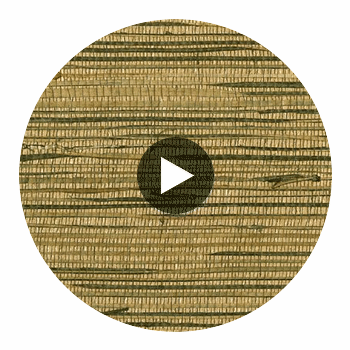 Aichi Luxury Grasscloth | Phillipe Romano Circular Swatch | DW