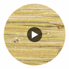 Akita Luxury Grasscloth | Phillipe Romano Circular Swatch | DW