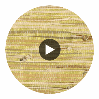 Akita Luxury Grasscloth | Phillipe Romano Circular Swatch | DW