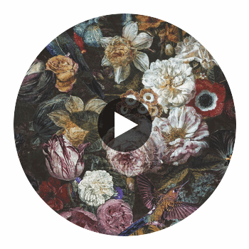 Allure Wallcovering | Graham & Brown Circular Swatch | Graham & Brown