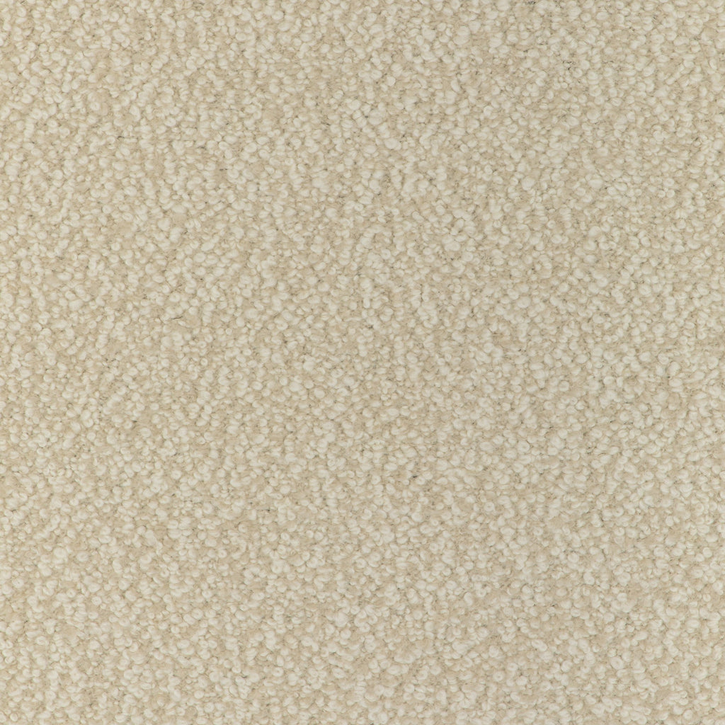 Alpaca Boucle, Beige