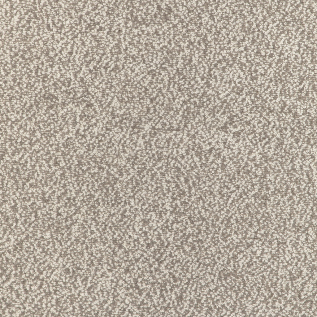 Alpaca Boucle, Beige