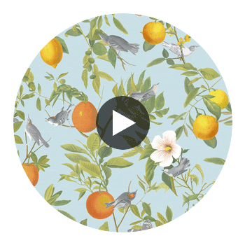 Amalfi Cielo Wallcovering | Graham & Brown Circular Swatch | Graham & Brown