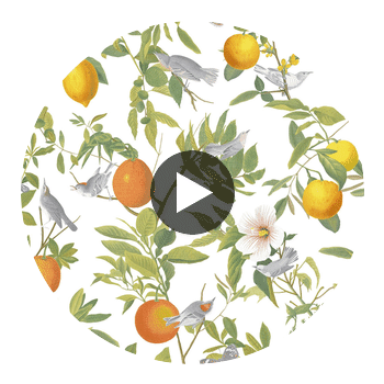 Amalfi White Wallcovering | Graham & Brown Circular Swatch | Graham & Brown