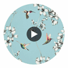 Amazilia Gooseberry — Harlequin Circular Swatch | Harlequin