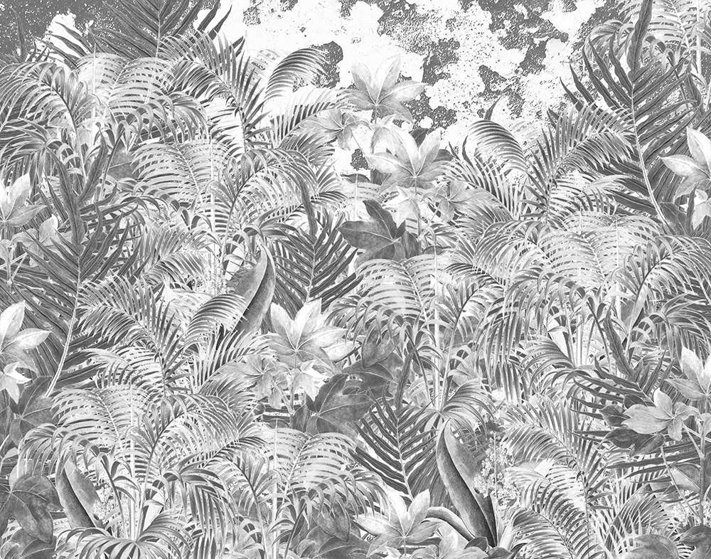 Amazonia JO2708-3