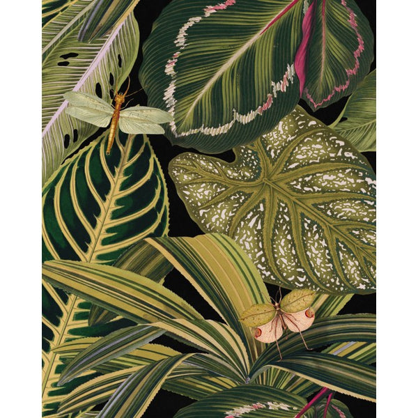 Amazonia - Black, Green, Olive Wallcovering | Mind the Gap