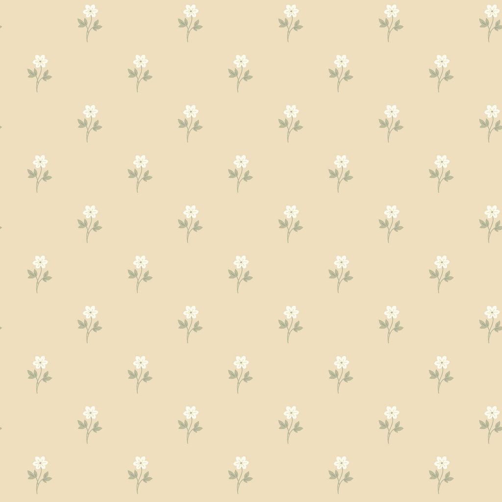 ANEMONE BY BORÅSTAPETER WHEAT | Schumacher - Image 1