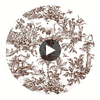 Antilles Toile Fabrics (af15169) – Brown | Thibaut Circular Swatch | Thibaut