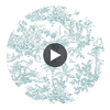 Antilles Toile Fabrics (af15170) – Spa Blue | Thibaut Circular Swatch | Thibaut