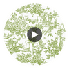 Antilles Toile Fabrics (af15172) – Green | Thibaut Circular Swatch | Thibaut