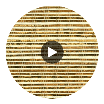 Aomori Luxury Grasscloth | Phillipe Romano Circular Swatch | DW