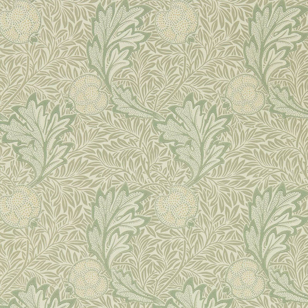 Apple Bay Leaf | Morris & Co.