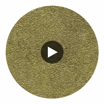 Aragon - Verdant Moss Performance Vinyl | Philippe Romano Fabrics Circular Swatch | Philippe Romano Fabrics