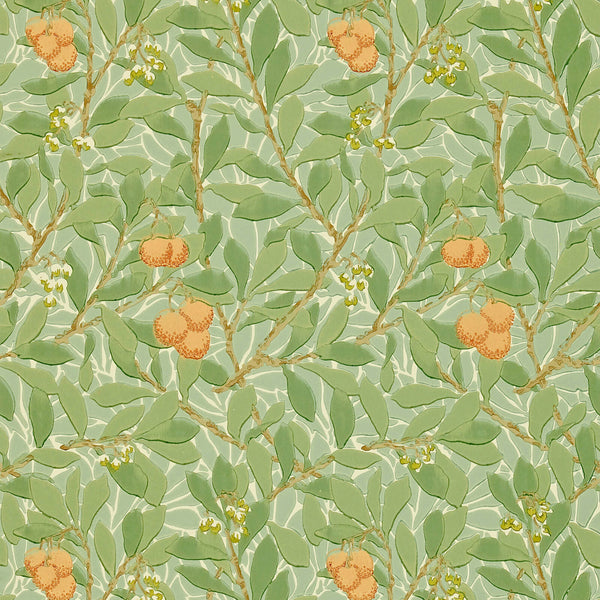 Arbutus Green/Terracotta | Morris & Co.