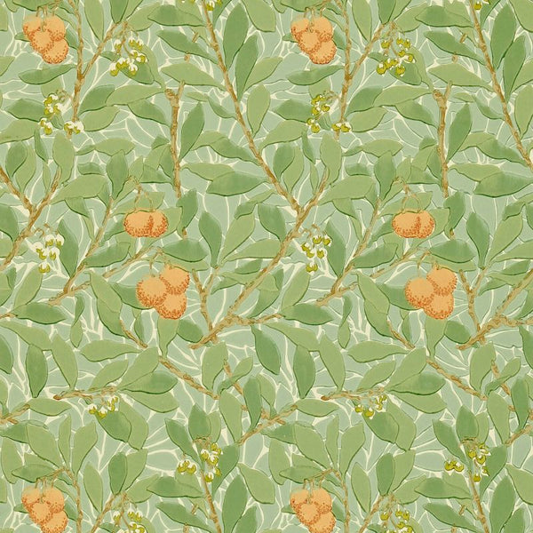 Arbutus Terracotta Green Wallcovering | William Morris