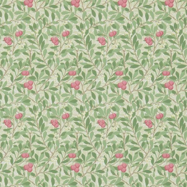 Arbutus Pink Olive Wallcovering | William Morris