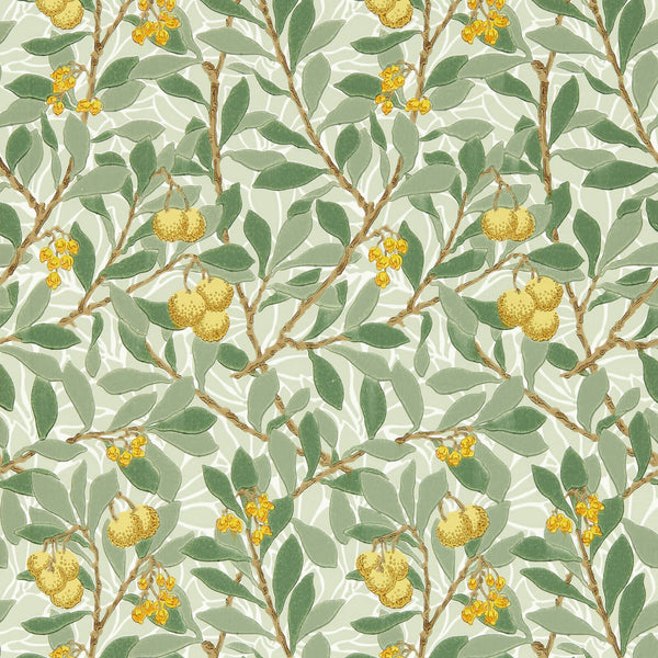 Arbutus Sage/Lemon | Morris & Co.