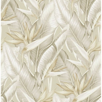 Arcadia Light Green Banana Leaf Wallcovering | Jeffrey Stevens - Image 2