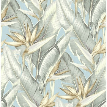 Arcadia Light Green Banana Leaf Wallcovering | Jeffrey Stevens - Image 3