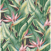 Arcadia Light Green Banana Leaf Wallcovering | Jeffrey Stevens - Image 4