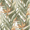 Arcadia Light Green Banana Leaf Wallcovering | Jeffrey Stevens - Image 5