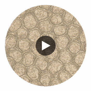 Artisma Croco Vinyl | Hollywood Wallcoverings Circular Swatch | Hollywood Wallcoverings