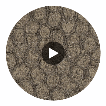 Artisma Croco Vinyl | Hollywood Wallcoverings Circular Swatch | Hollywood Wallcoverings