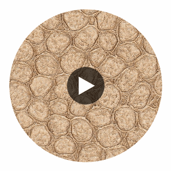 Artisma Croco Vinyl | Hollywood Wallcoverings Circular Swatch | Hollywood Wallcoverings