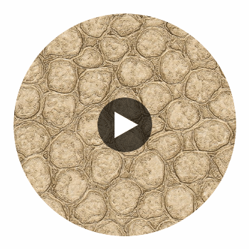 Artisma Croco Vinyl | Hollywood Wallcoverings Circular Swatch | Hollywood Wallcoverings