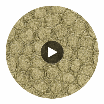 Artisma Croco Vinyl | Hollywood Wallcoverings Circular Swatch | Hollywood Wallcoverings