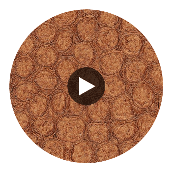 Artisma Croco Vinyl | Hollywood Wallcoverings Circular Swatch | Hollywood Wallcoverings