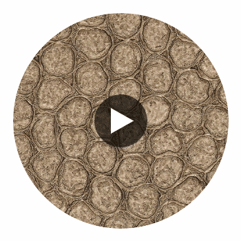 Artisma Croco Vinyl | Hollywood Wallcoverings Circular Swatch | Hollywood Wallcoverings
