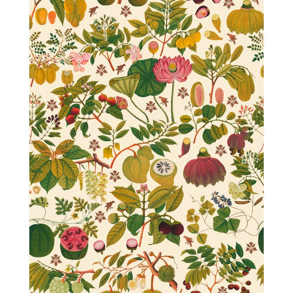 Asian Fruits and Flowers - Taupe, Green, Pink Wallcovering | Mind the Gap