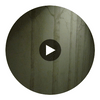 Aspen Tree Wall Mural as seen as the Westin Riverfront Resort Circular Swatch | Retro Walls