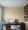 Assisi Straw Grasscloth Wallcovering | Fentucci - office room setting